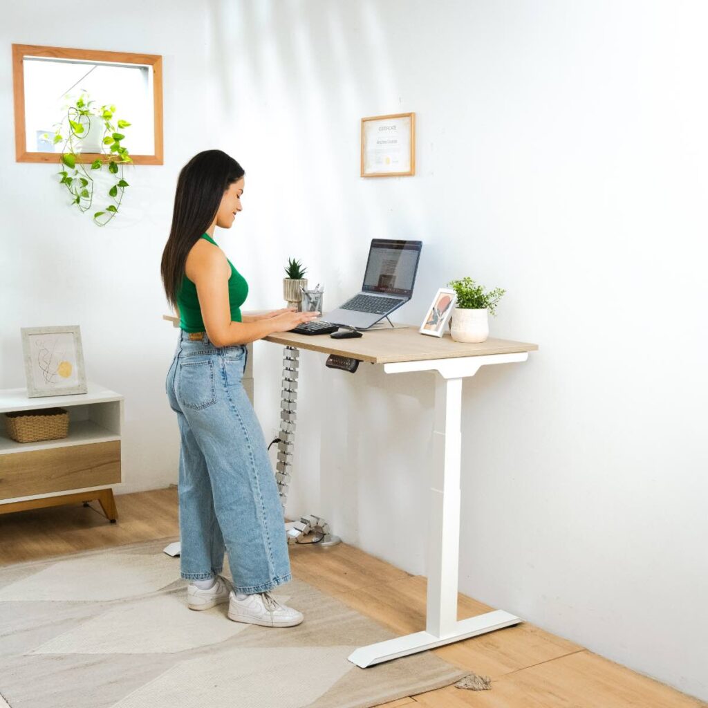 sit and stand / escritorio ergonómico