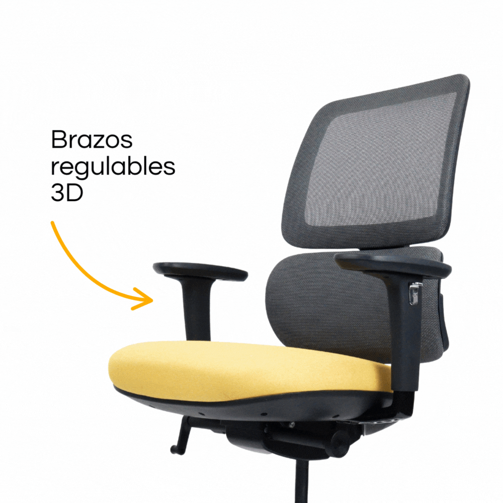 Silla Orca 1