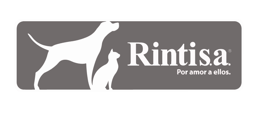 Rintisa e1722535197473 1