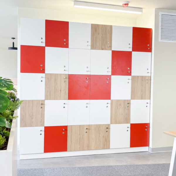 Proyecto Ajinomoto - lockers en espacios de trabajo lockers