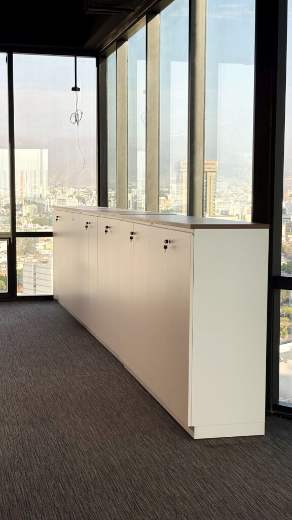 Proyecto Scotiabank - mobiliario de almacenamiento